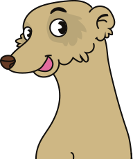 suricate